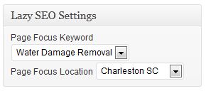 This is a screen shot of the Lazy SEO Page/Post Menu.