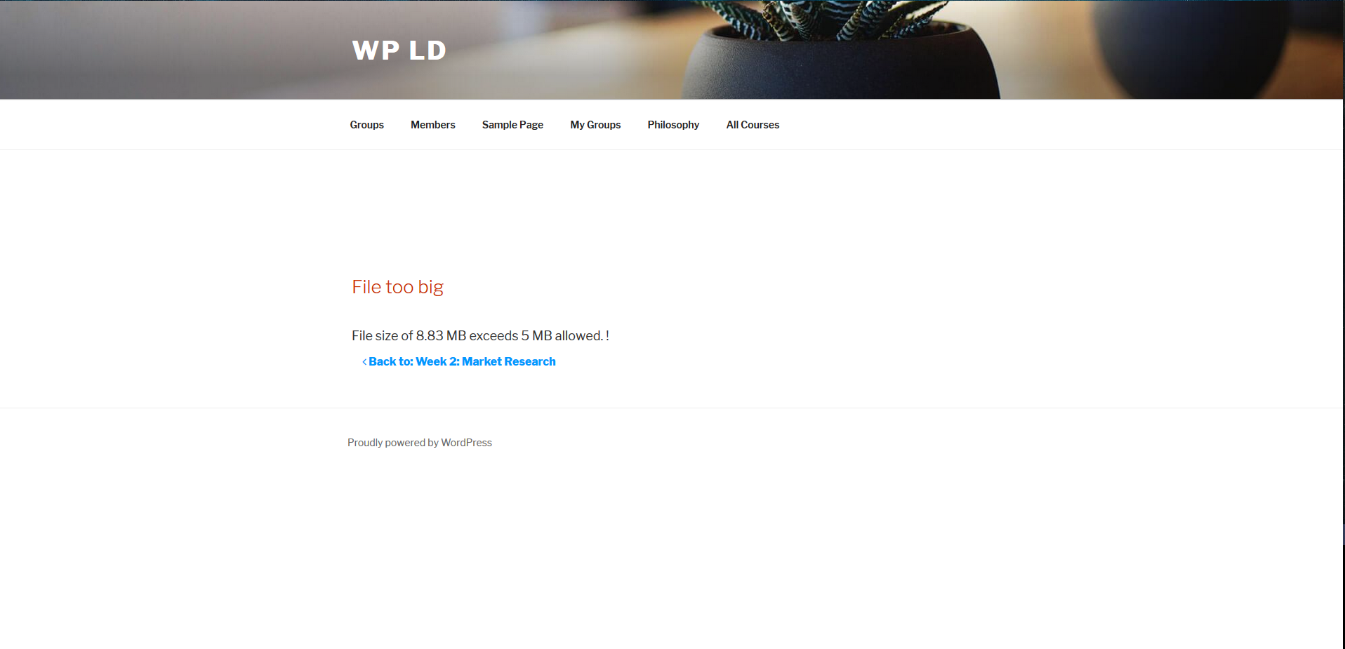 Shows the Front End 'bad' upload Notice - max. file size allowed