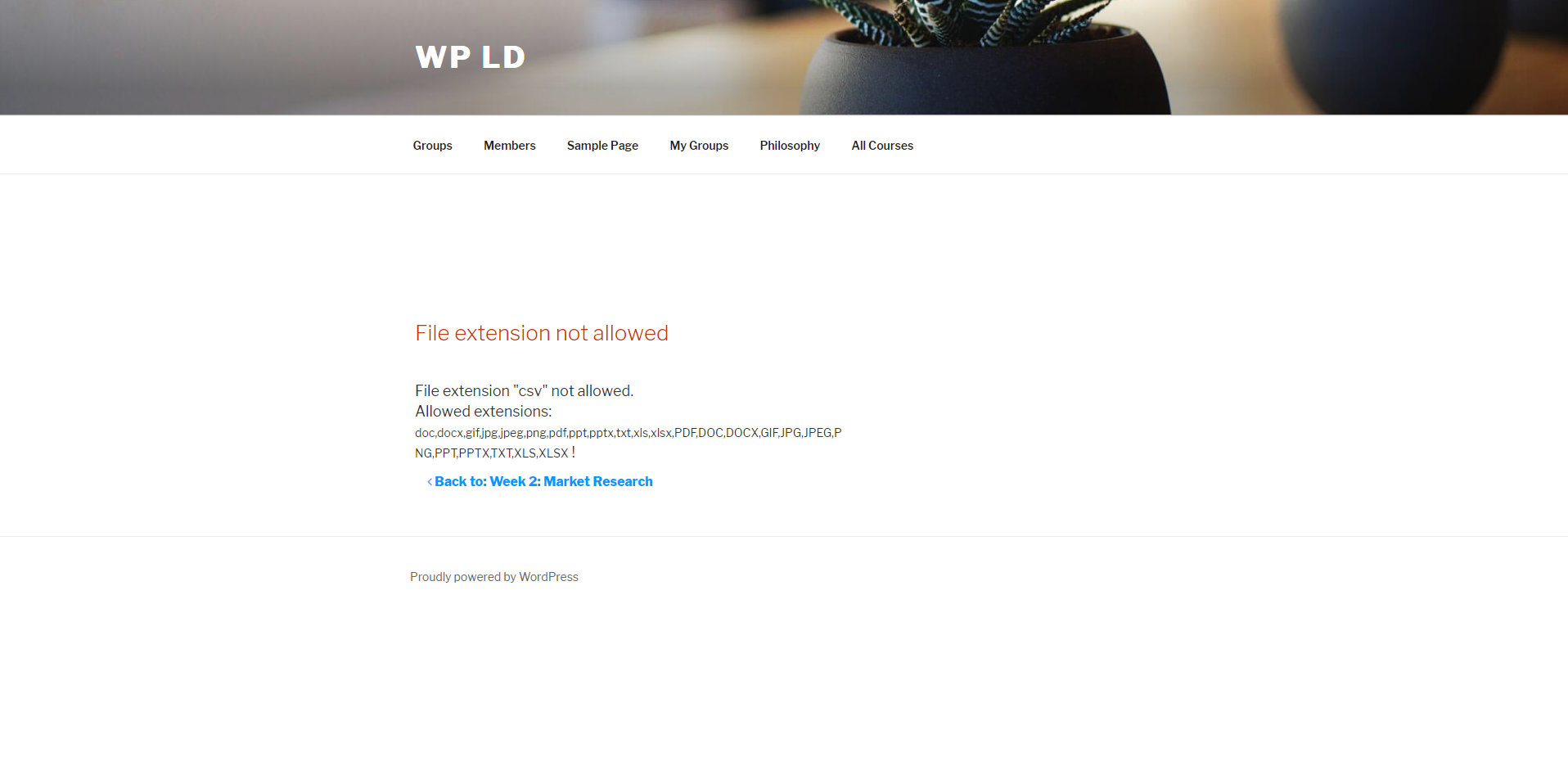 Shows the Front End 'bad' upload Notice - file extension not allowed