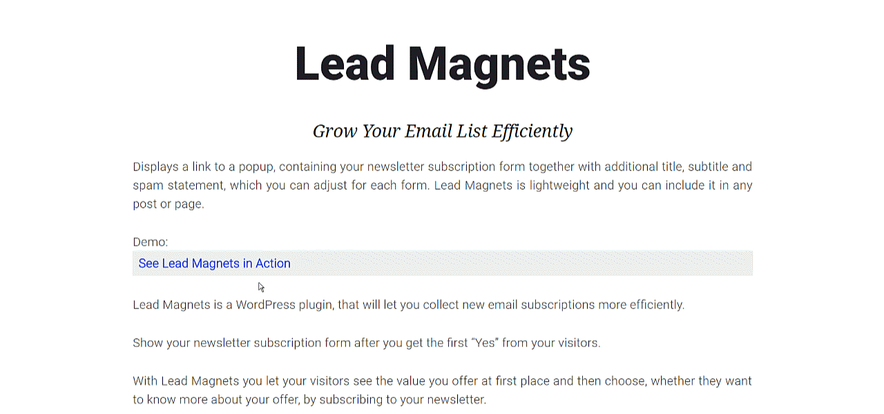 Lead Magnets preview (frontend).