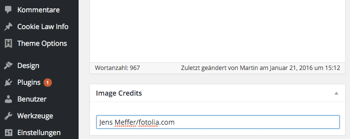 In backend, our plugin will automatically add a box below the text editor on all page- or post-edit pages. There you'll be able to insert any image credit information.