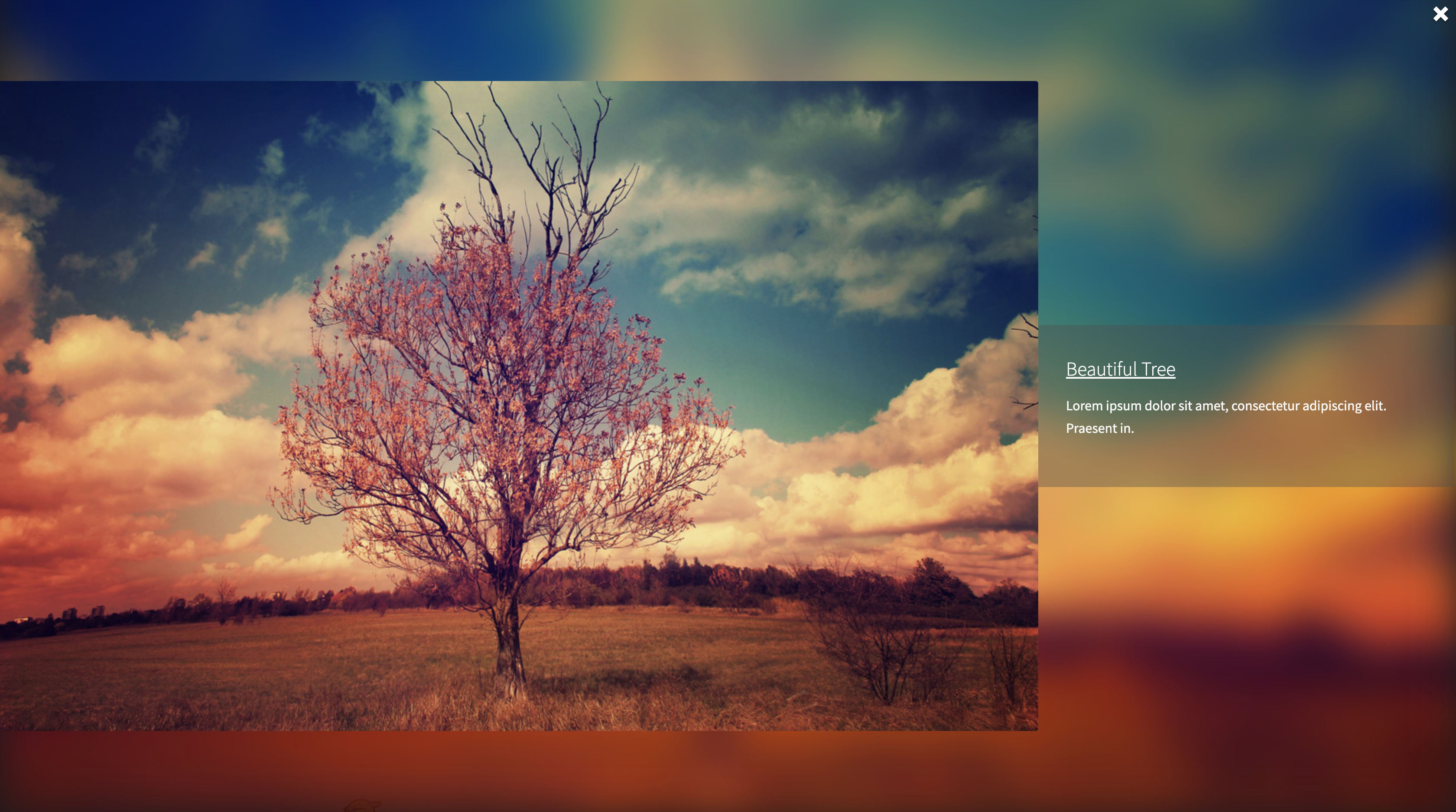 Lightbox with image title and caption displaying an image.