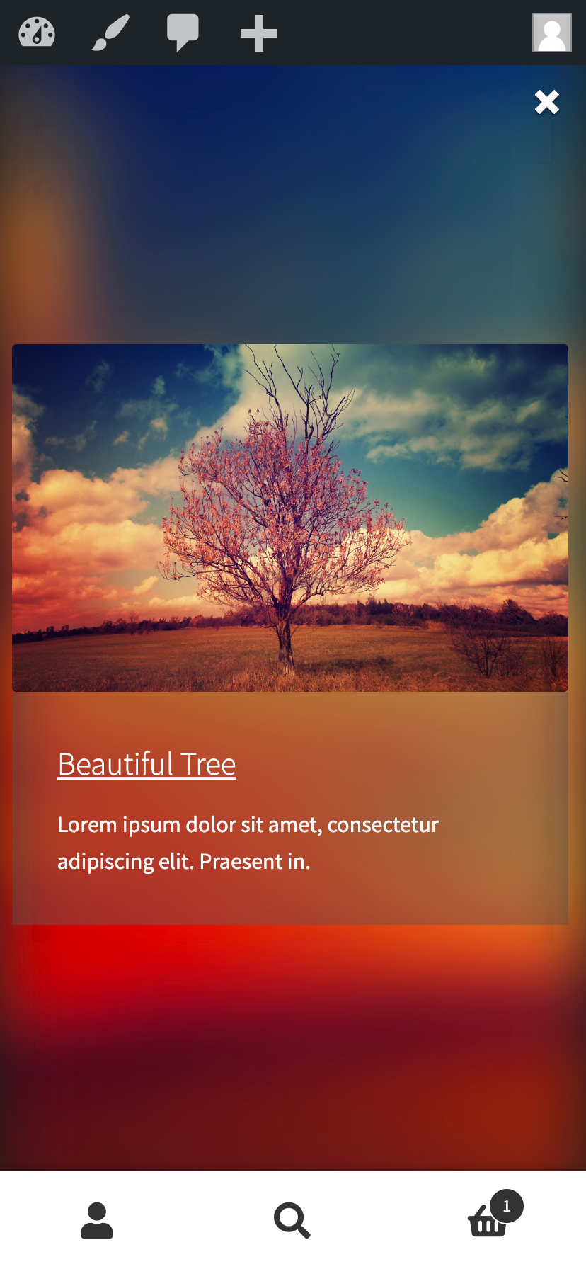 Lightbox with image title and caption displaying an image on mobile.