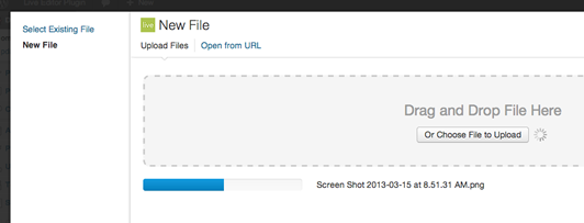 Upload your images, video, audio, and documents into Live Editor directly from your WordPress system