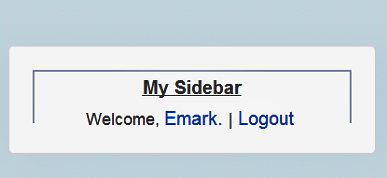 After the user is logged in