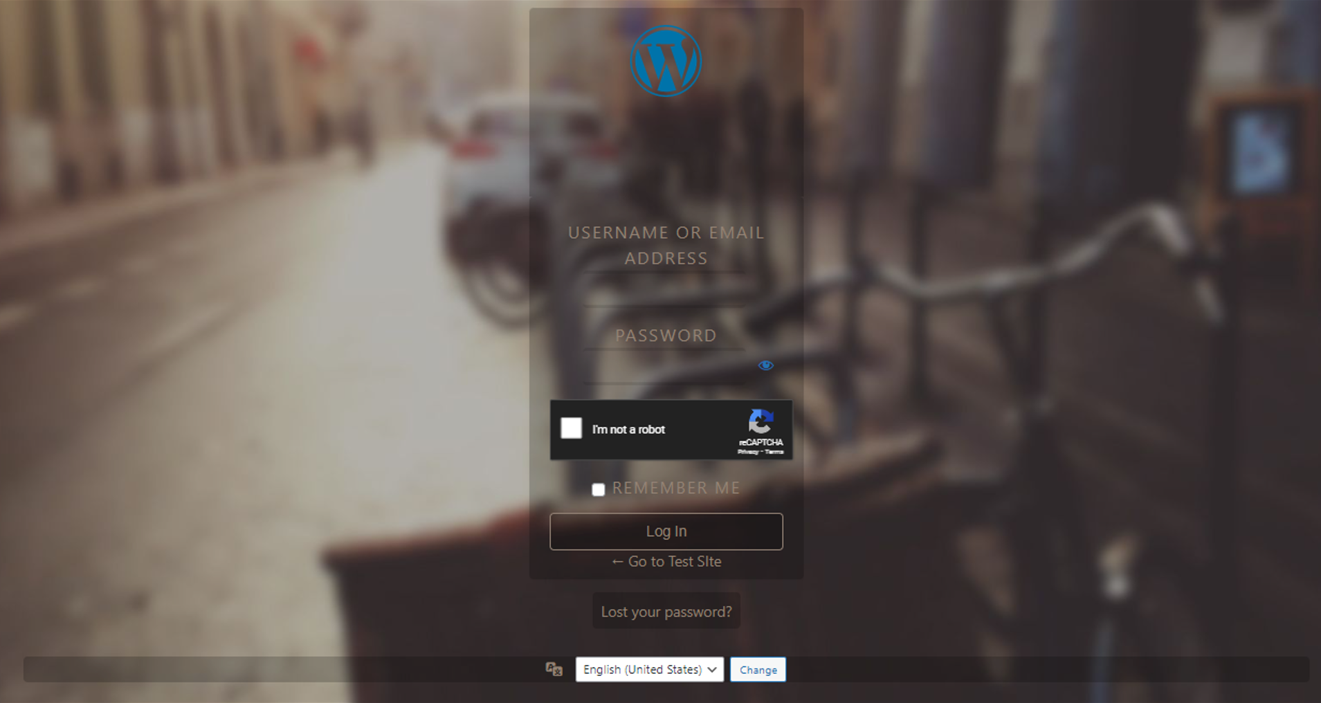 Logo and background customization