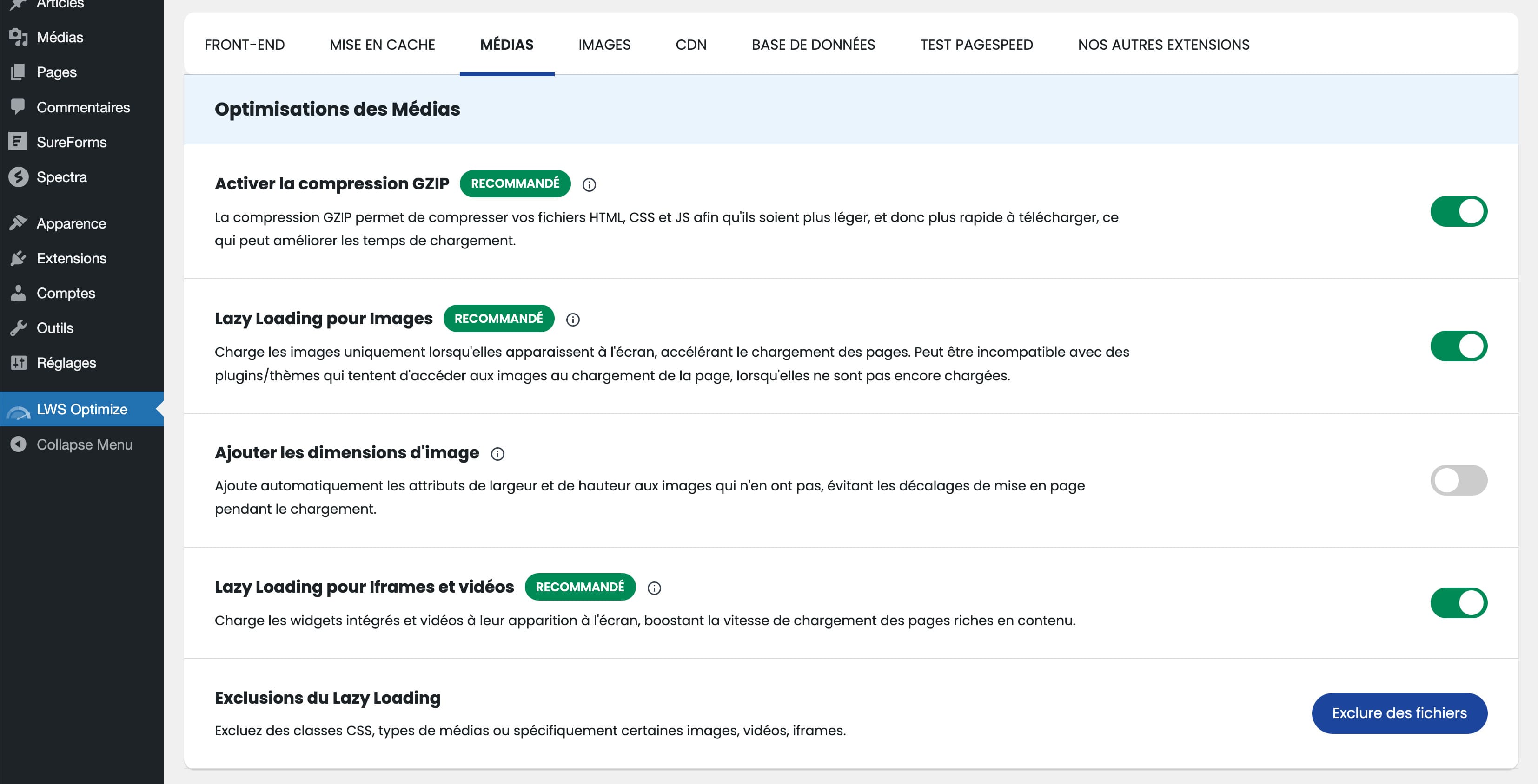 Media optimization controls (Lazy Load, GZIP)