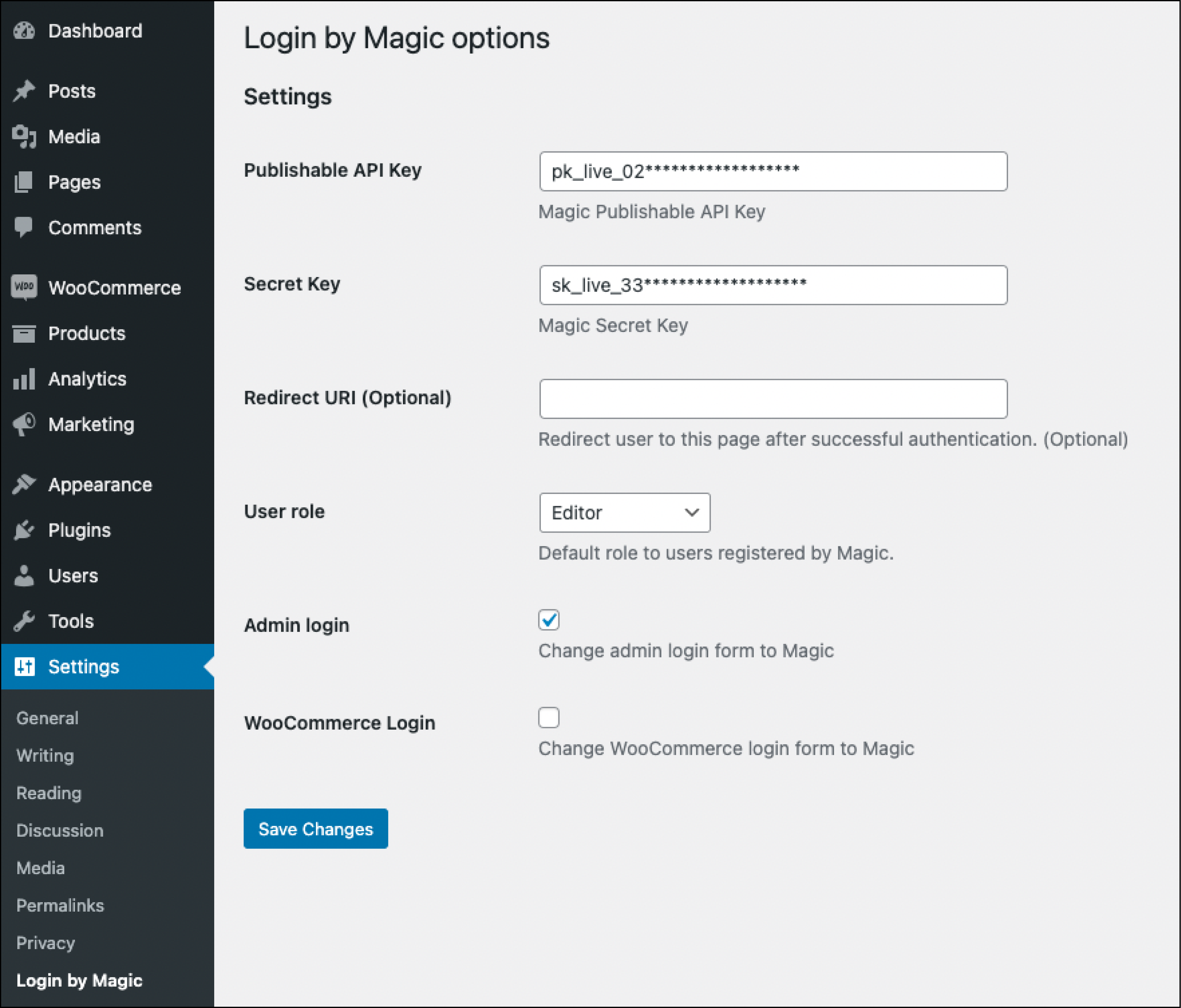 Login by Magic options page (WordPress)