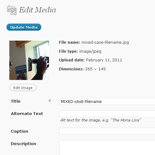 An image detail view from the Media Library showing the new File name as lowercase.