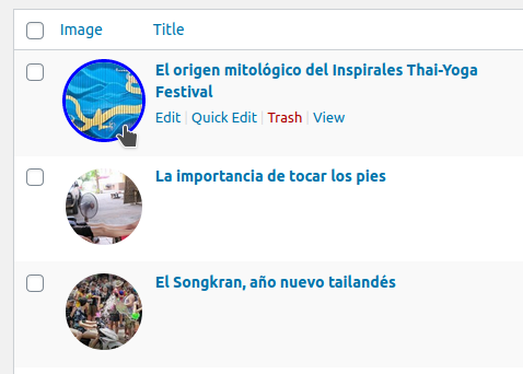 Circle, XL, border on hover posts featured images