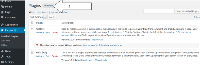 **Plugins** - Click to 'Add New'.