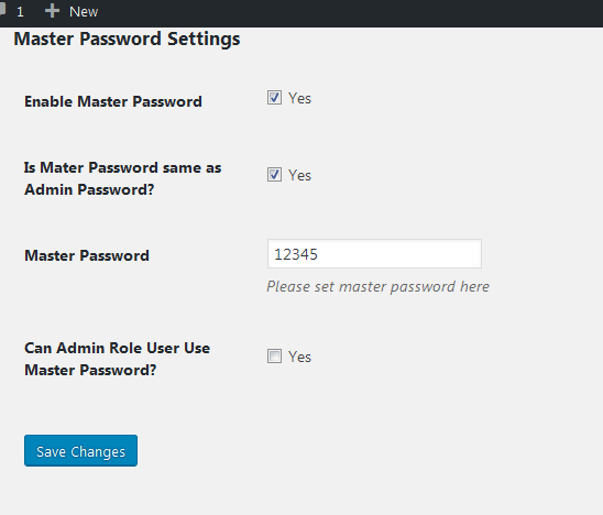 Master Password Settings Admin Side