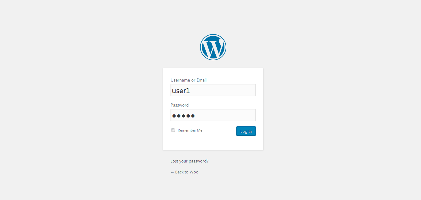 User Login as Master Password as well as his/her own password