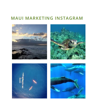 Your Instagram photos is completely customizable