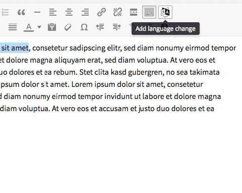 The editor with the new button for language change "lang" and "lang attr" and showing the language change in the text highlighted.