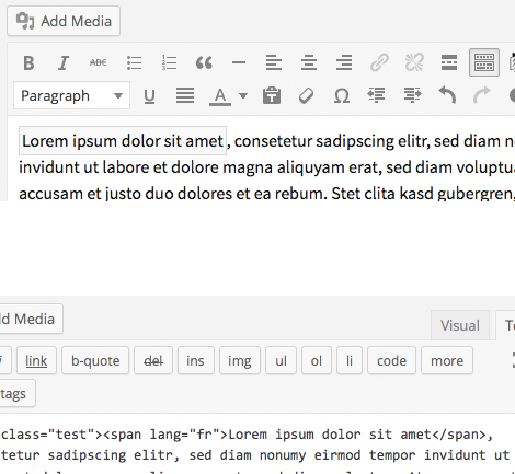The editor popup showing language attributes options.