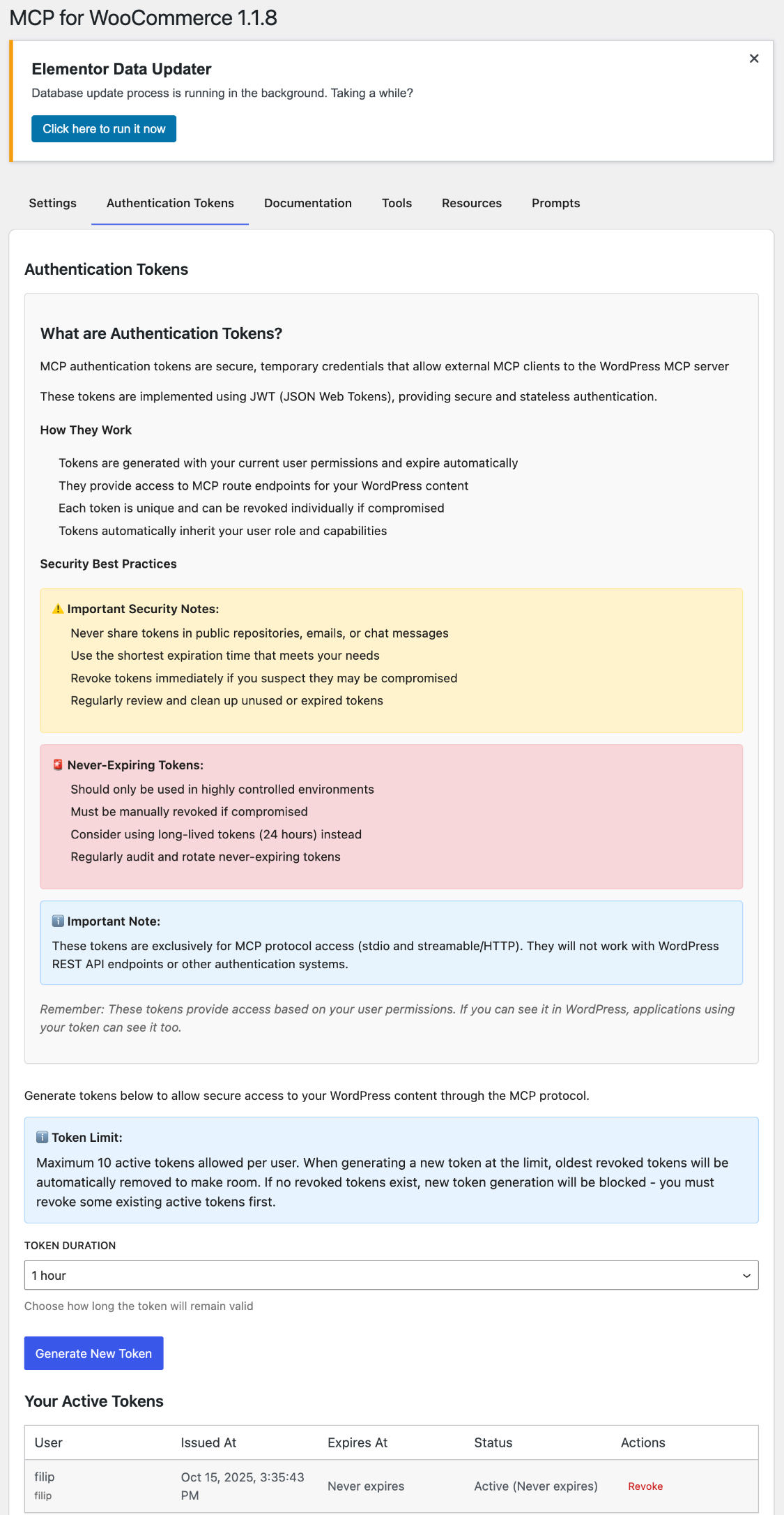 JWT token management interface