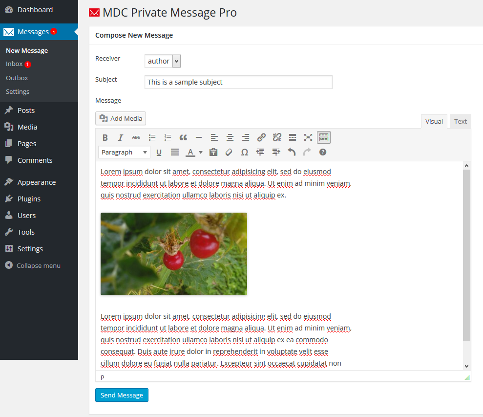 New Message (from back-end)