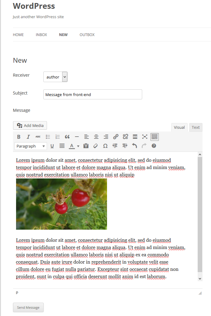 New Message (from front-end)
