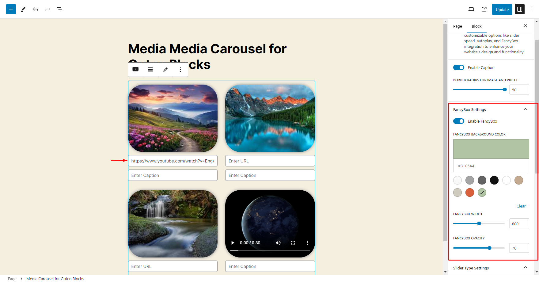 It will show Back-End Option for Media Carousel - How to Enable the Navigation Dots option