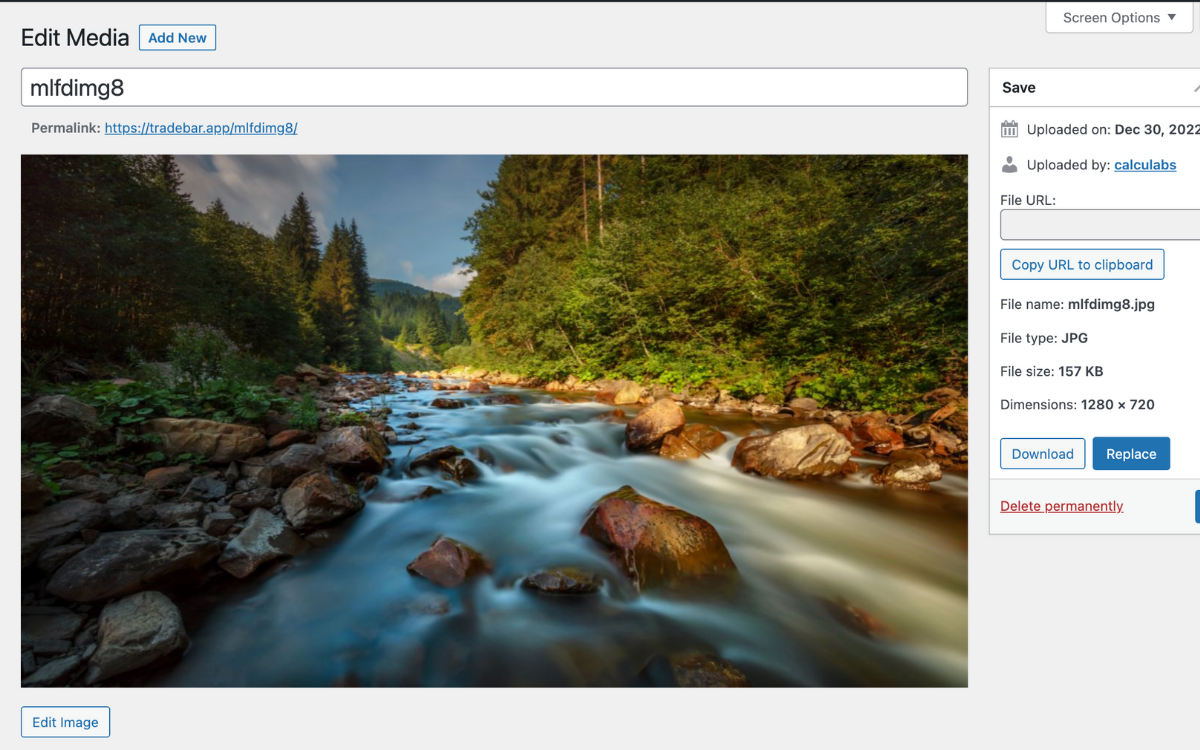 The download and replace button in Edit Media Attachment view