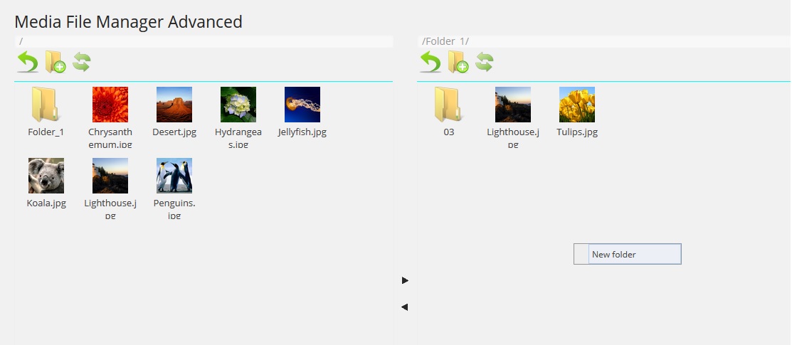 Right click menu "New Folder"