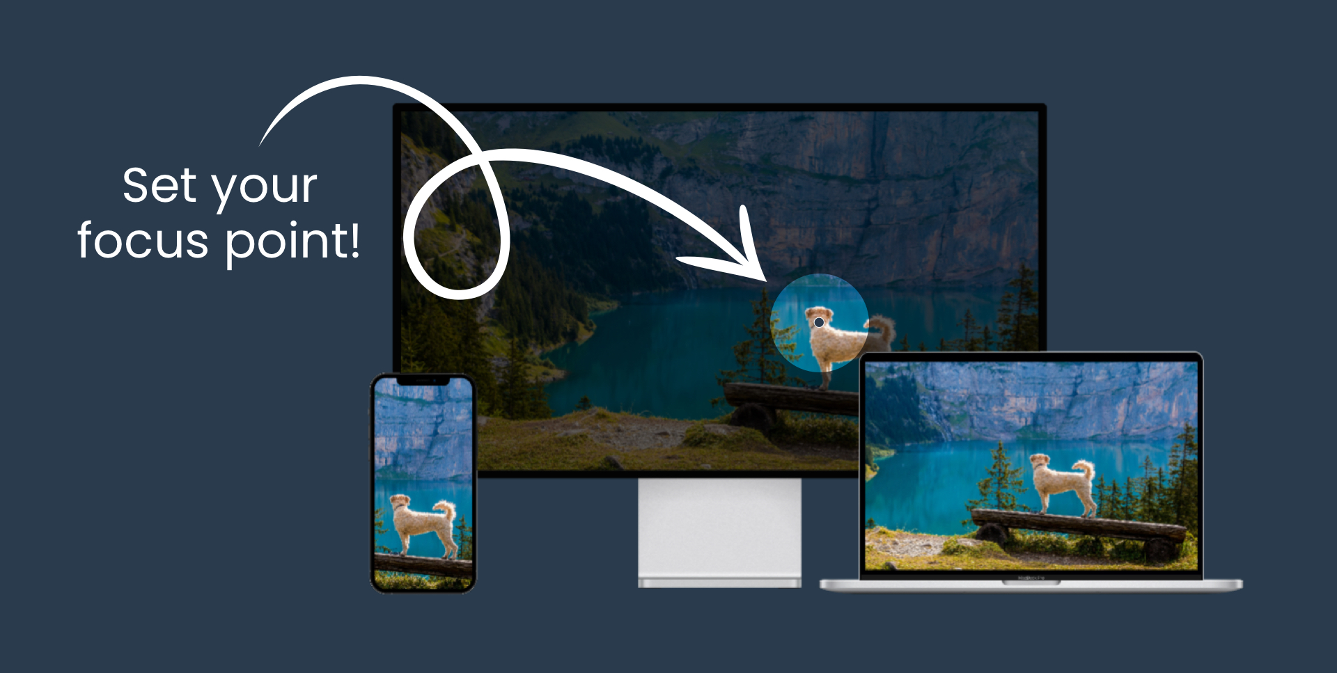 This screenshot illustrates how the image resizes while ensuring the focus point remains visible.