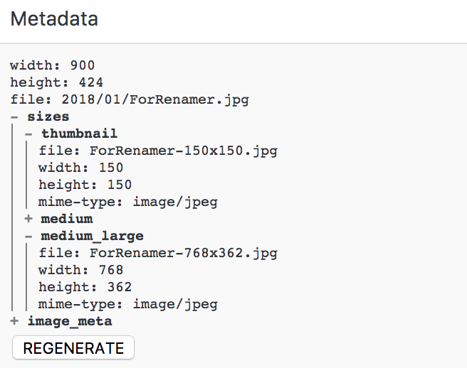 Column Metadata in the Media Library (List Mode).