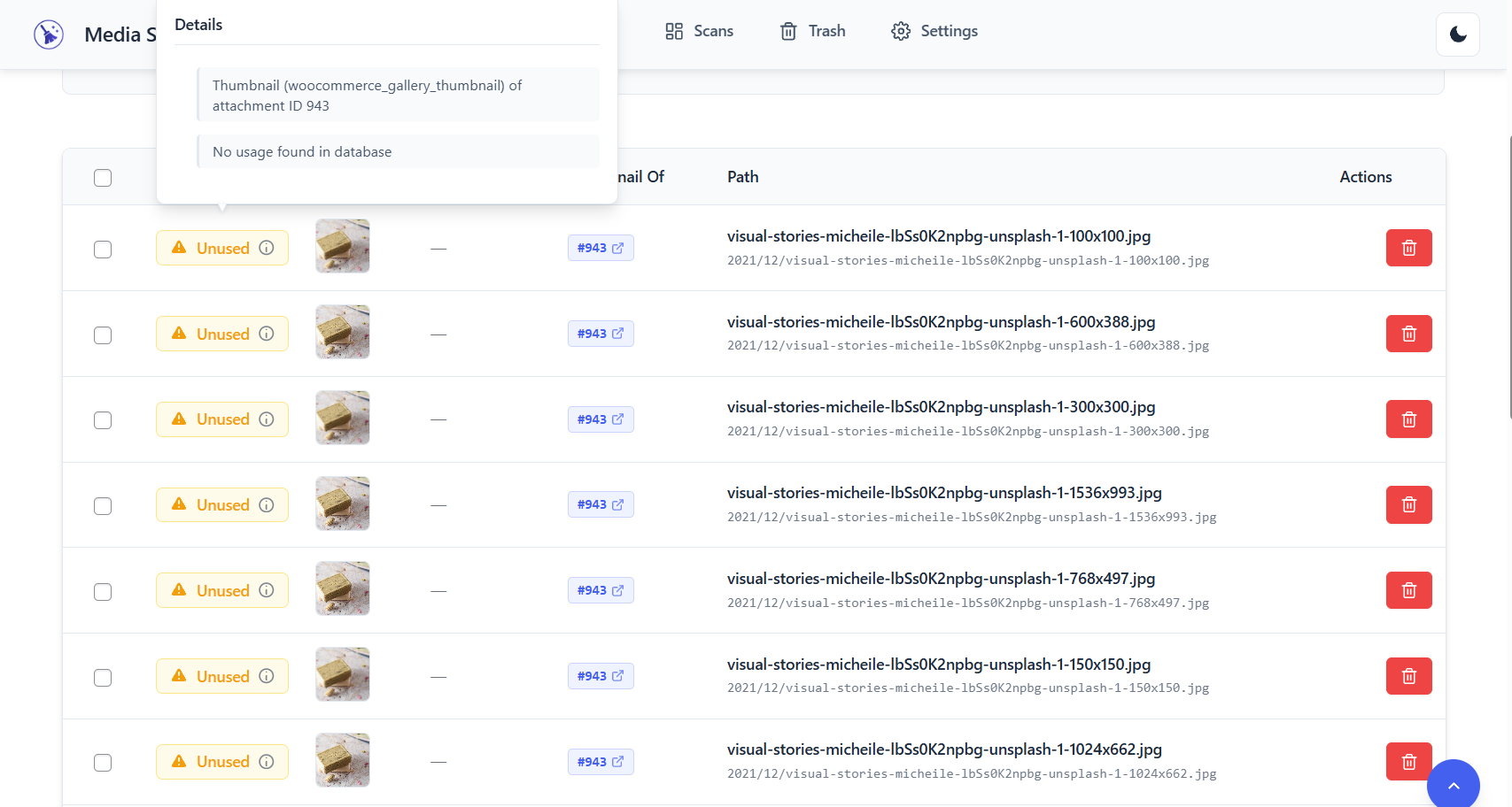 **File Details** – Detailed view showing where and how files are used across your site