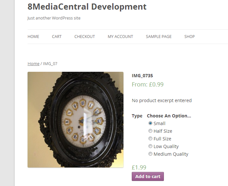 The product shown in the shop