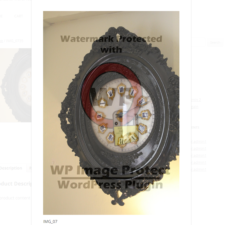 Adding a watermark protects the image