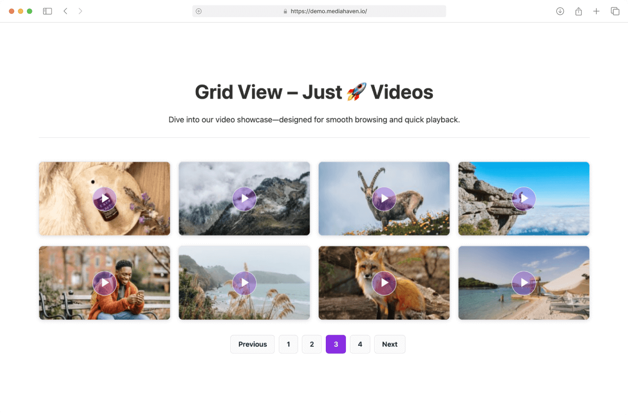 Single Responsive Video Player.