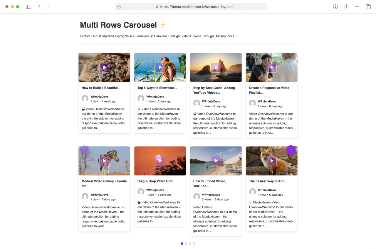 Single Page Video Source & Format Options.