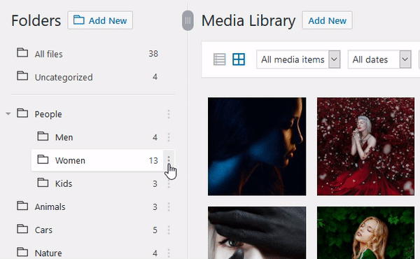 WordPress Media Folders