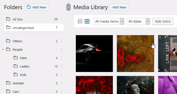 WordPress Media Folders