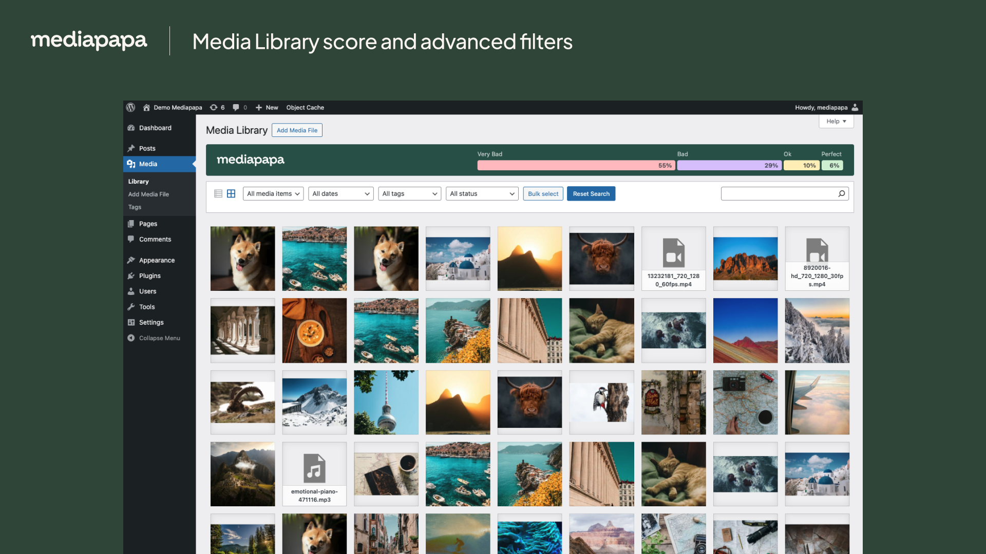 Library filtering tools to identify duplicates, unused files, and optimization opportunities, with score, tags, and usage detection for each media item