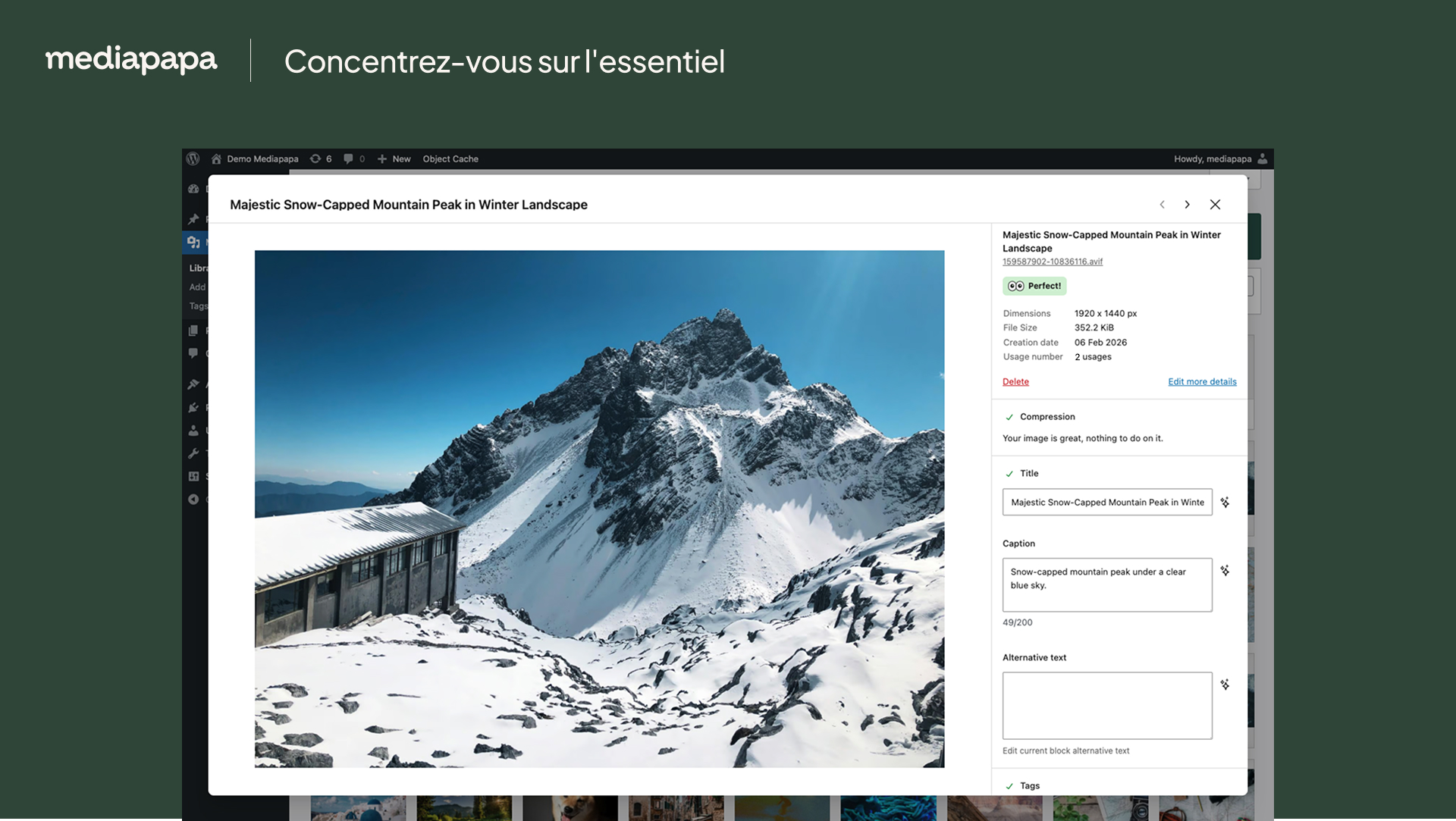 Mediapapa plugin sidebar providing direct recommended actions within the Gutenberg editor