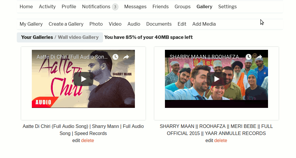 Adding Youtube/Vimeo videos to BuddyPress Activity screenshot-8.png