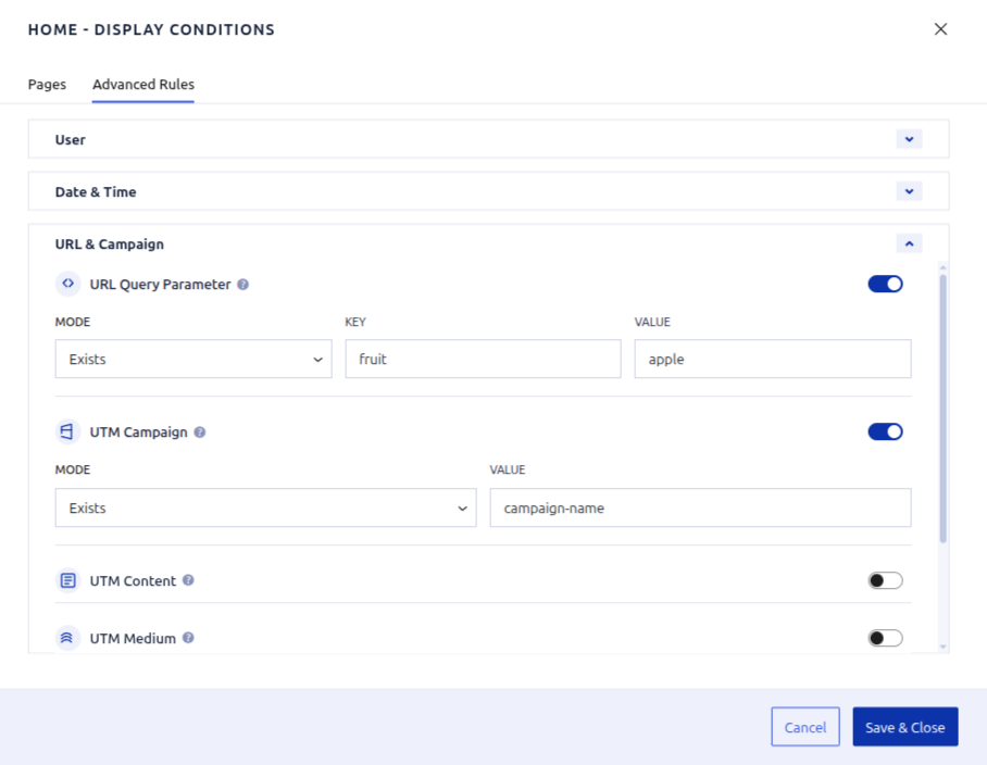 URL & Campaign detail editor configuring a query parameter and UTM campaign value.