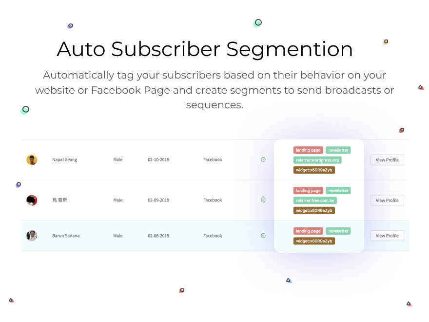 Auto Subscriber Segmentation