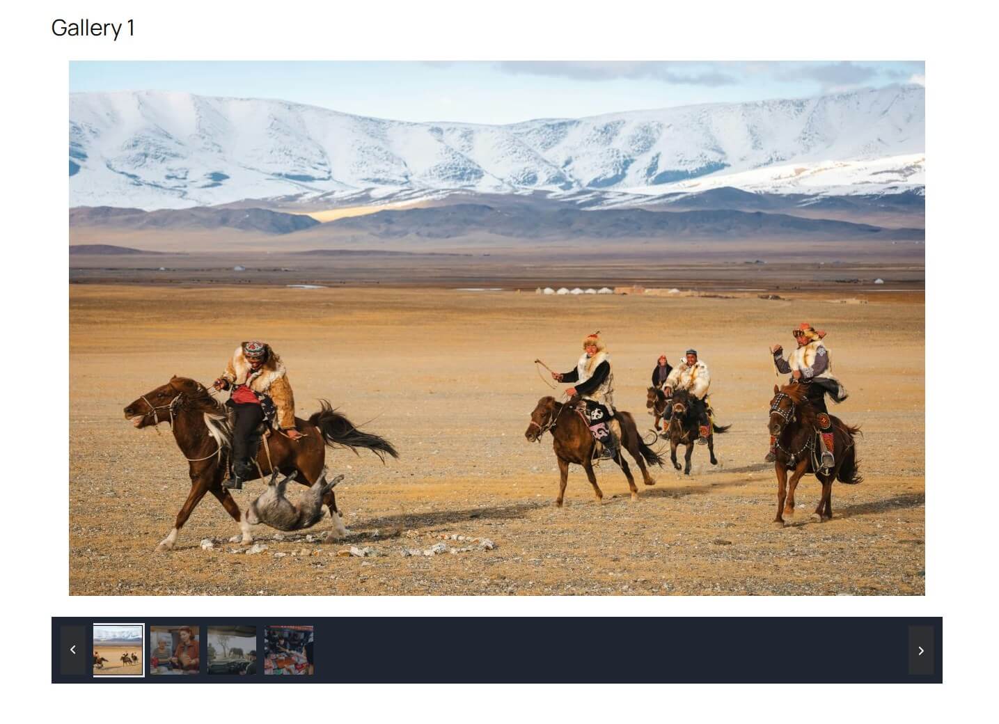 Single page gallery view