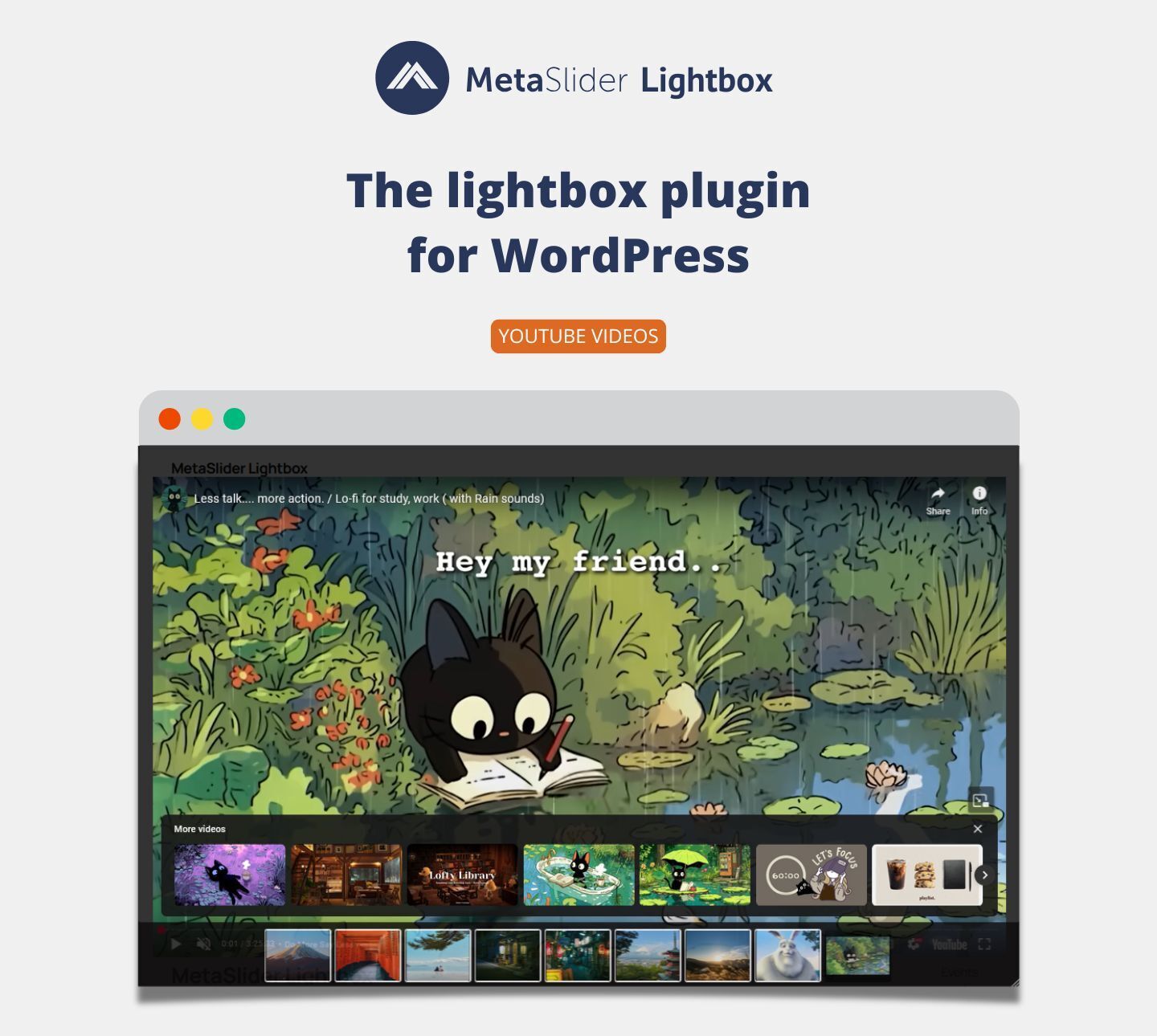 YMetaSlider Lightbox can show videos in a lightbox