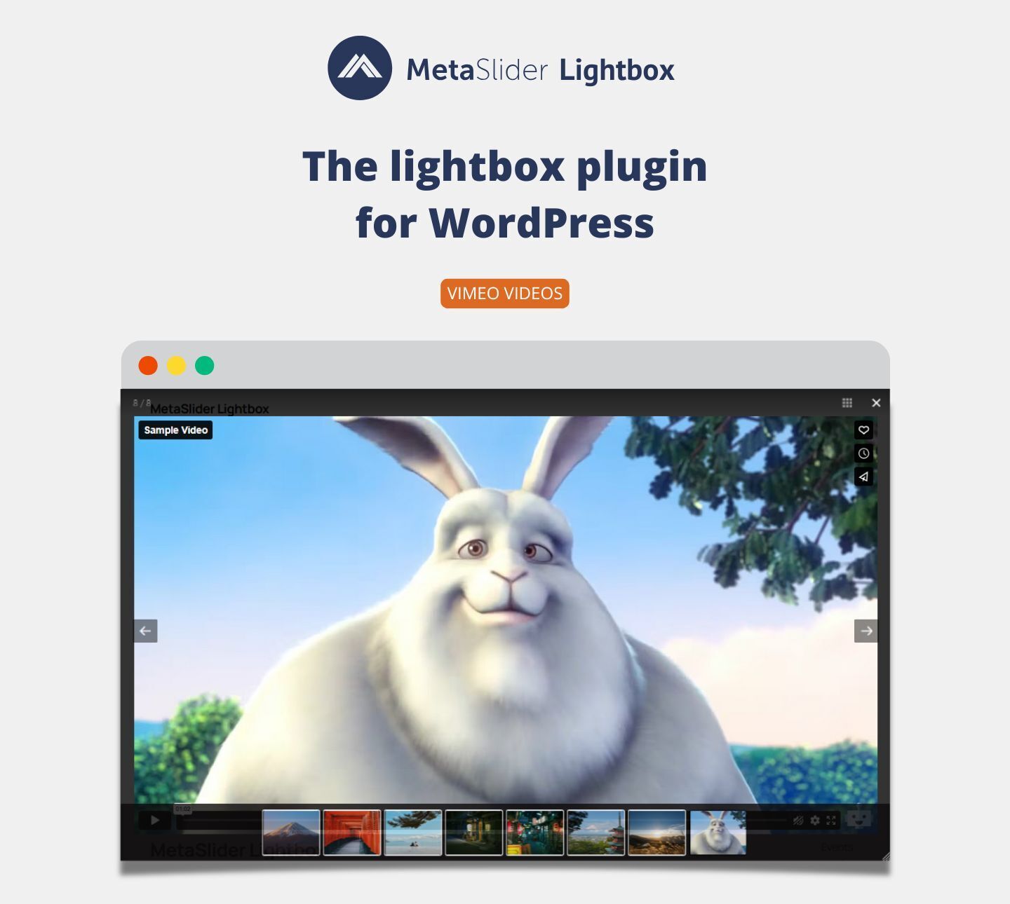 MetaSlider Lightbox supports YouTube and Vimeo