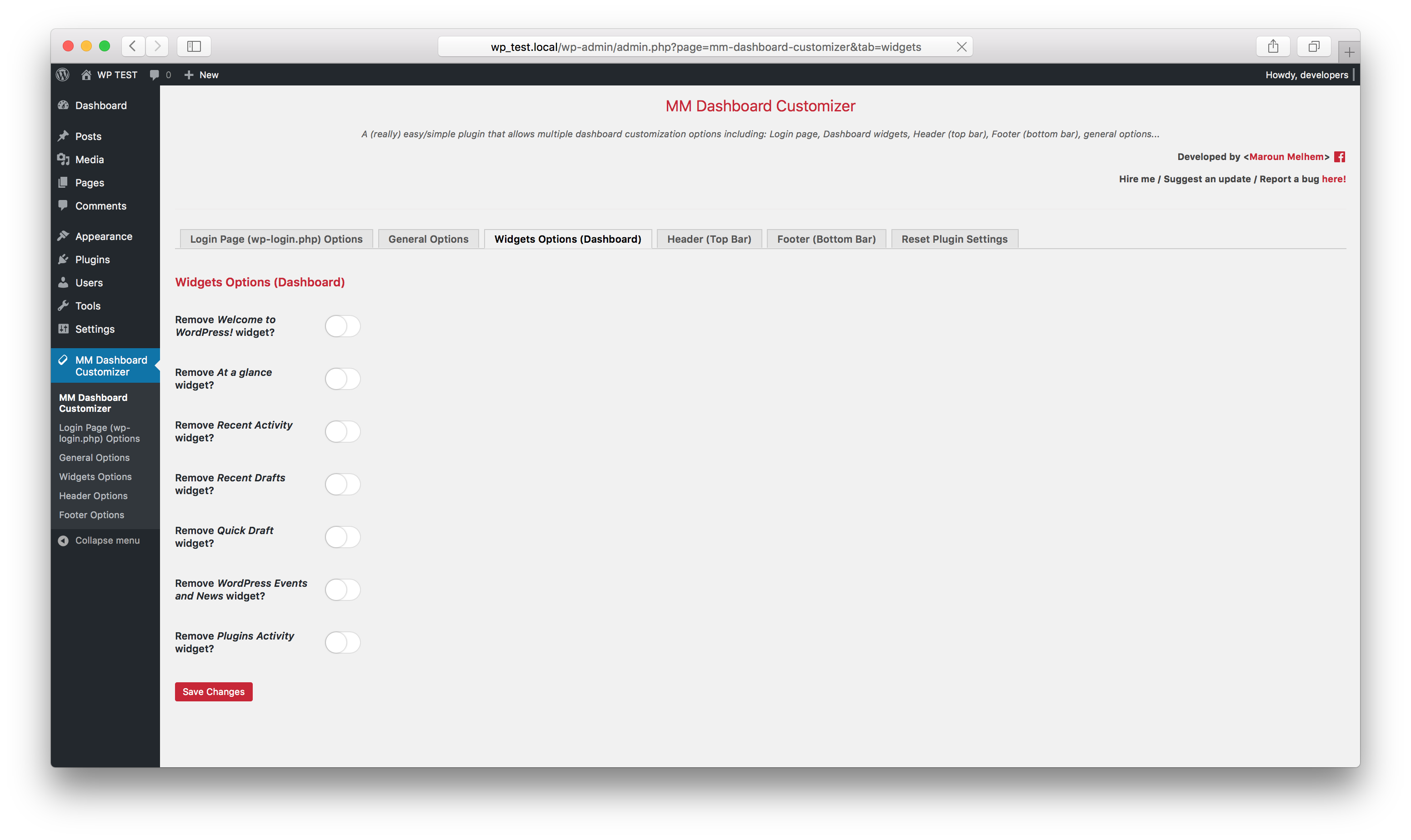 Plugin widget options