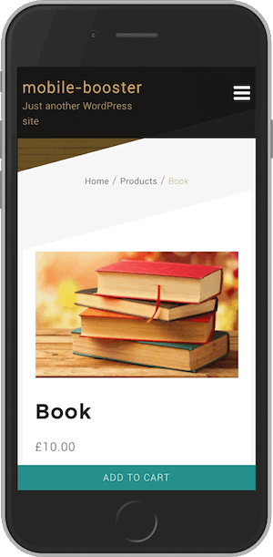 **Mobile Booster Example.**