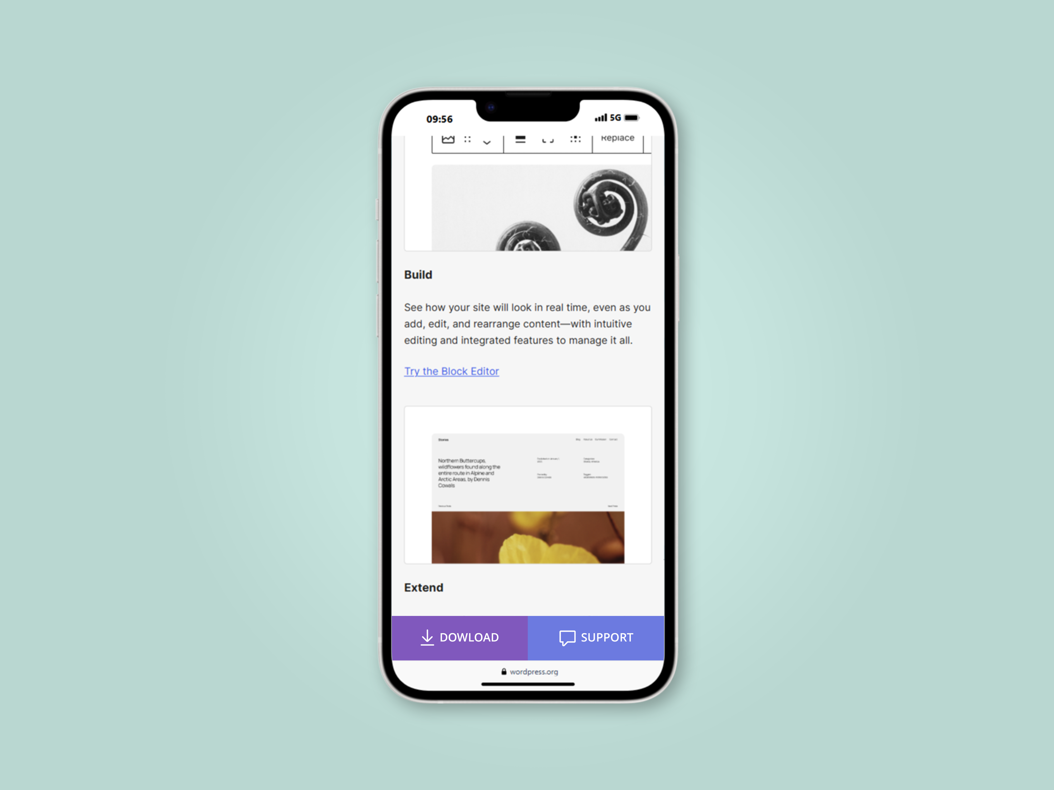 Example of work on the site
