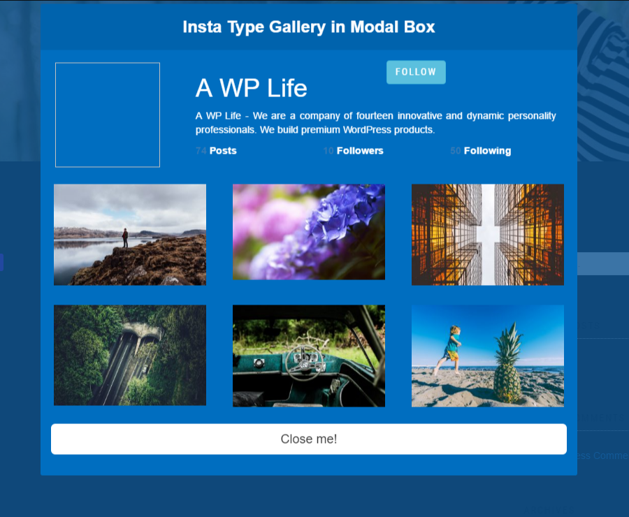Insta Type Gallery into Modal Pop Box