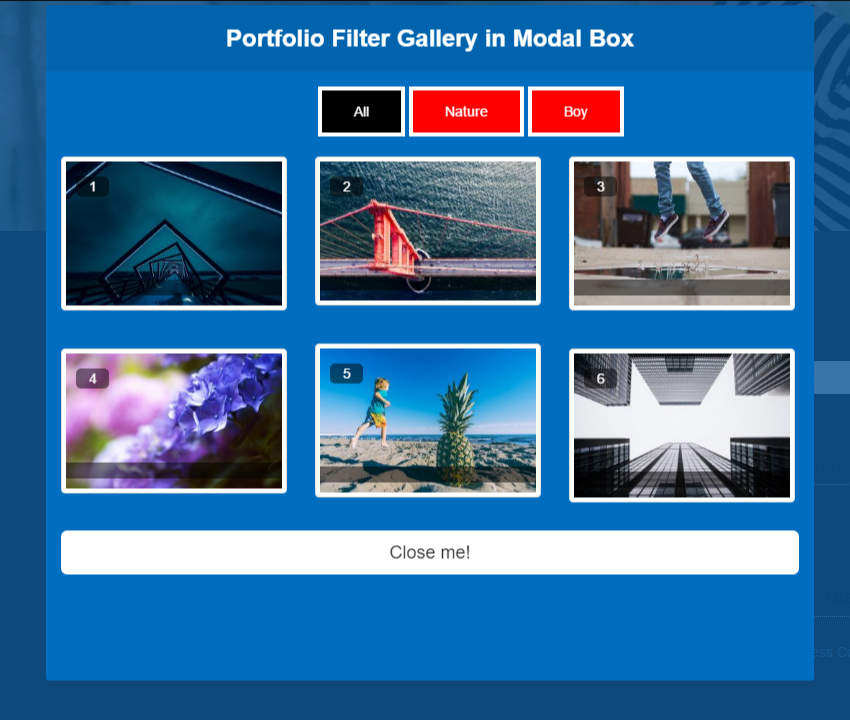 Portfolio Filter Gallery in Modal Pop Box