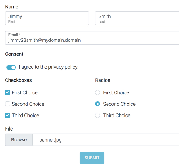 Bootstrap Form with In Label Animation and Custom UI (Pro Version)