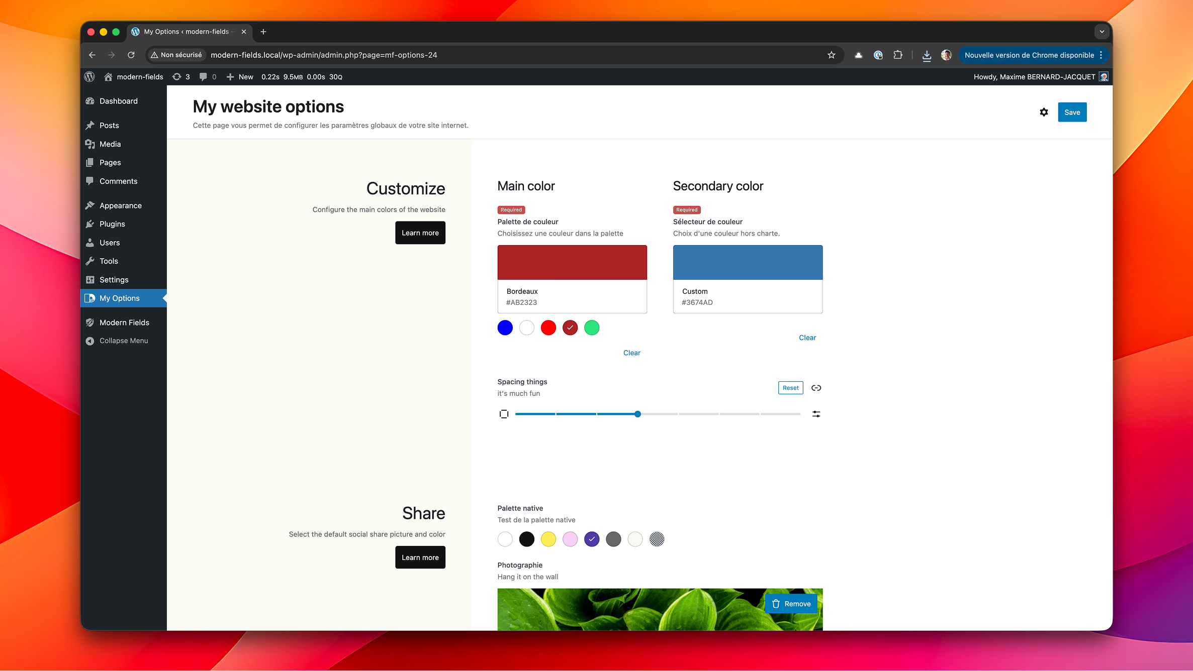 An options page powered by Modern Fields.